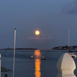 Meet your Posher, Lexi